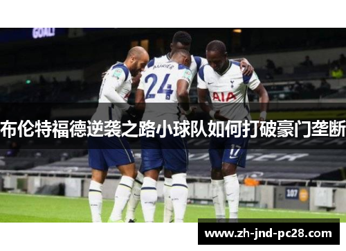布伦特福德逆袭之路小球队如何打破豪门垄断