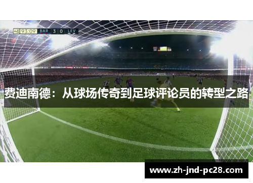 费迪南德：从球场传奇到足球评论员的转型之路
